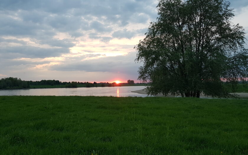 Tiefstehende Sonne über dem Rhein
