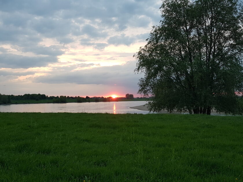 Tiefstehende Sonne über dem Rhein