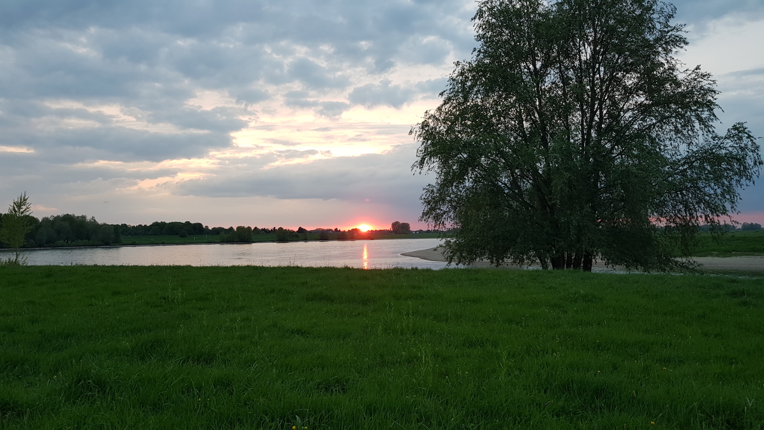 Tiefstehende Sonne über dem Rhein